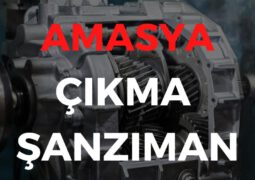 Amasya Çıkma Şanzıman