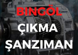 Bingöl Çıkma Şanzıman