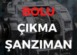 Bolu Çıkma Şanzıman