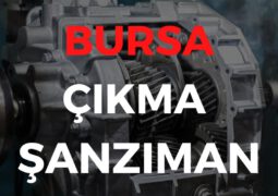 Bursa Çıkma Şanzıman