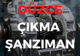 Düzce Çıkma Şanzıman