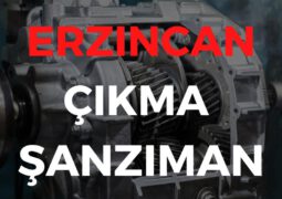 Erzincan Çıkma Şanzıman