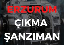 Erzurum Çıkma Şanzıman