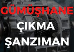 Gümüşhane Çıkma Şanzıman