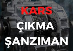 Kars Çıkma Şanzıman