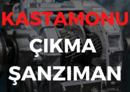 Kastamonu Çıkma Şanzıman