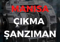 Manisa Çıkma Şanzıman