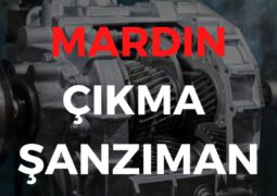 Mardin Çıkma Şanzıman