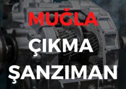 Muğla Çıkma Şanzıman