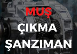 Muş Çıkma Şanzıman