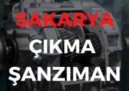 Sakarya Çıkma Şanzıman