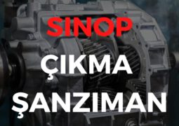 Sinop Çıkma Şanzıman