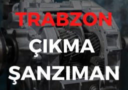 Trabzon Çıkma Şanzıman