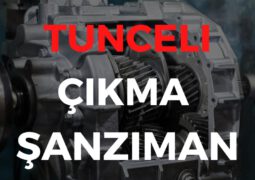 Tunceli Çıkma Şanzıman