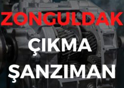 Zonguldak Çıkma Şanzıman